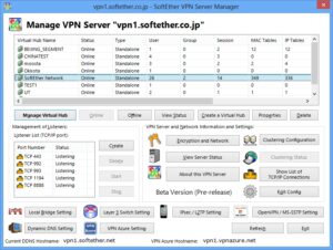 Softether vpn client