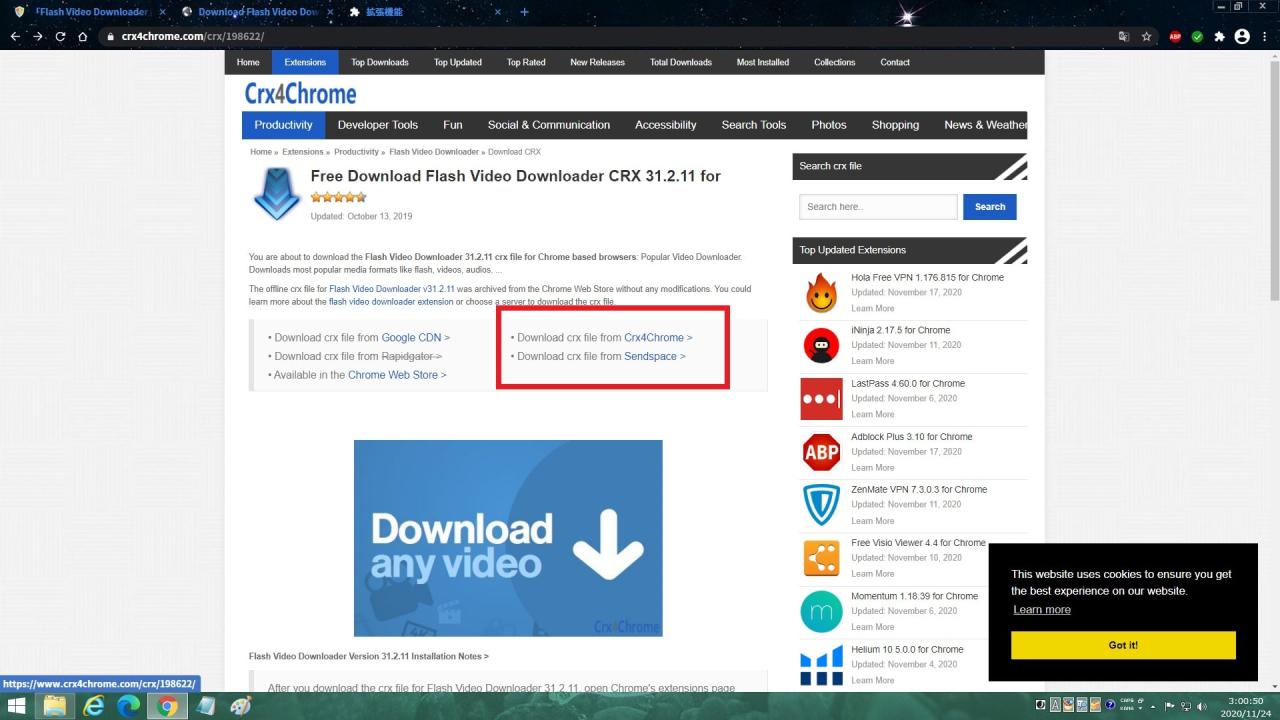 Flash video downloader