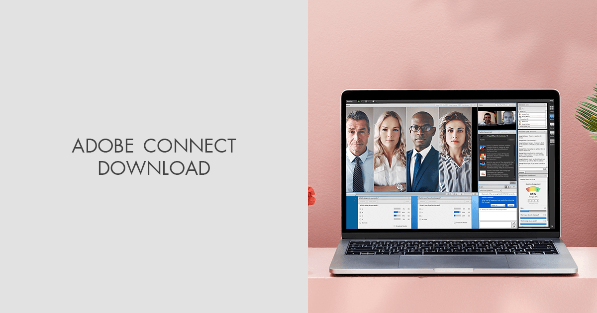 Adobe connect download