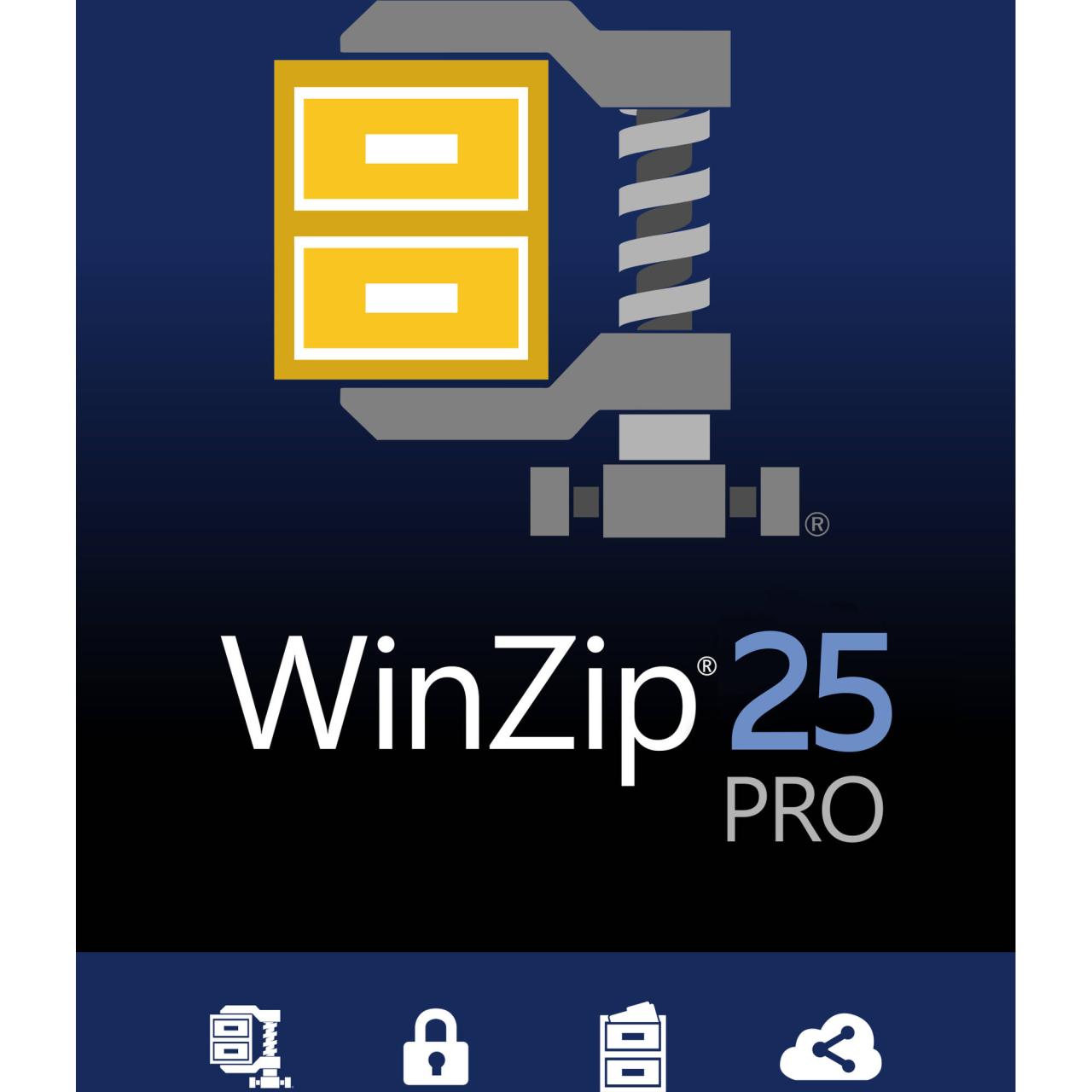 Winzip pro full version serial